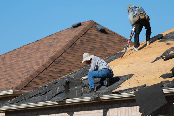 Best Roof Moss and Algae Removal  in Fairfax Station, VA